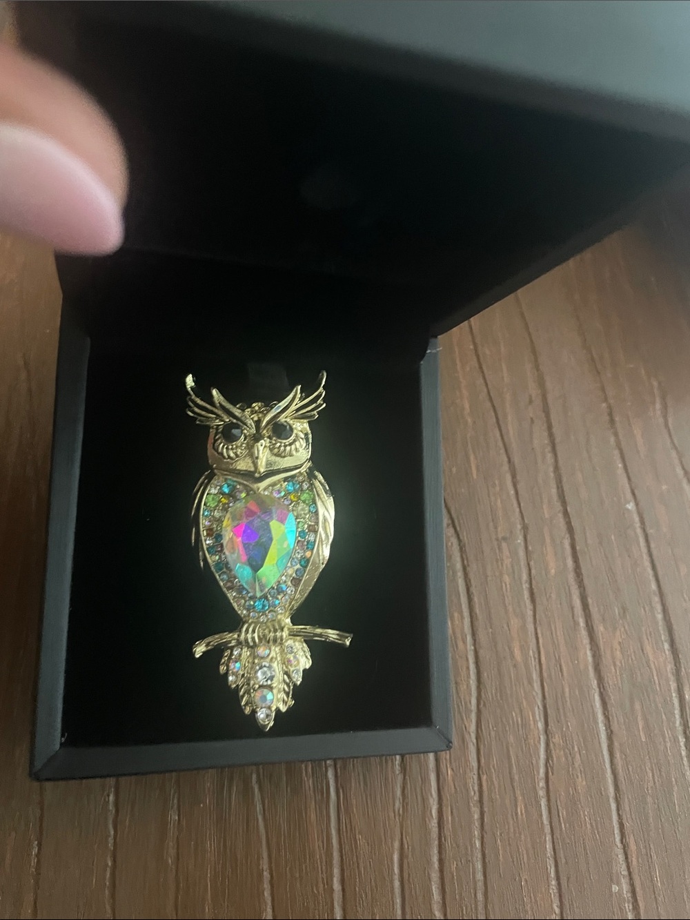 Miss Rabbit brooch Owl
